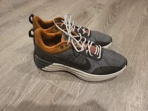 Nike Uomo Lunar Roam SE FZ8116-200 Bronzo/Metallizzato/Grigio Ferro/Nero TG 9,5 - Foto 1 di 6