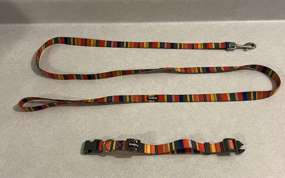 Collar y correa Blueberry Pet Designer.  Talla pequeña. Foto 1 de 1