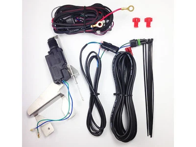 Bloqueo de puerta trasera para Dodge Ram 1500 2009-2010 61441VZQR Foto 1 de 2