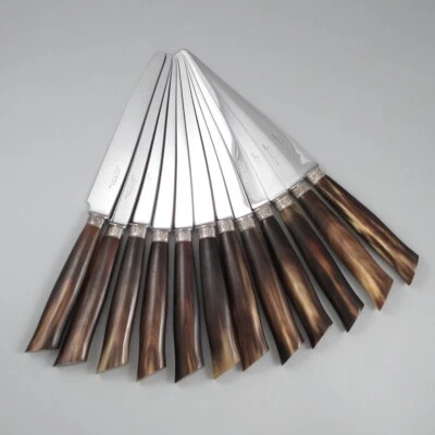 Cuchillos franceses antiguos, asas de cuerno, collares de plata, cardán Châteauroux, 12 piezas Foto 1 de 4