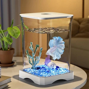 Betta - Mini acquario rettangolare da tavolo, con foro di alimentazione superior - Foto 1 di 9
