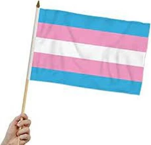 Rainbow Transgender Pride Flag 12x18 Inch 12" x 18" Hand Flag On Stick - Picture 1 of 3