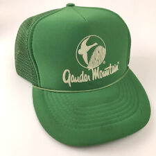 Vintage Gander Mountain Mallard Duck Hat Green Foam Trucker Snapback