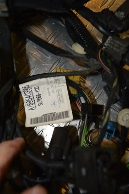 Mercedes Benz W169 A180 Cablaggio Porta Cavo Porta A1695403905 Destro Posteriore Foto 1 de 2