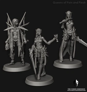 3 guerrières Drukhari convient a warhammer 40000 - Imagen 1 de 1