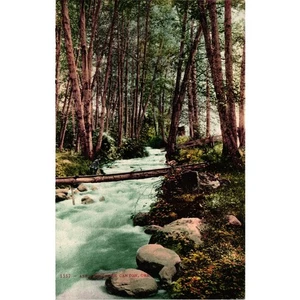 Vintage Ashland Creek Canyon Oregon Postcard by Edward H Mitchell - Picture 1 of 2