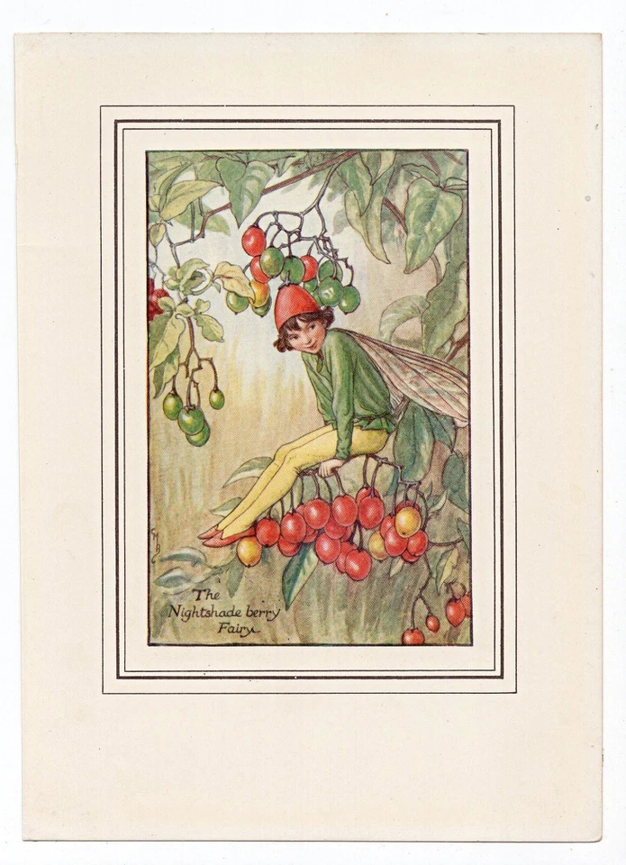 1930's Nightshade Berry Flower Fairy, Fairies Print by Cicely Mary Barker - image 1 of 1