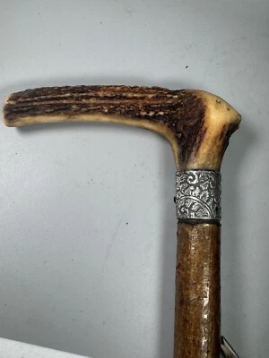 Antique 34.5” Stag Horn Cane with Silver Collar, Late 19th Century - Image 1 of 4
