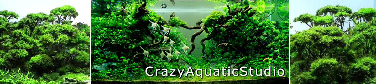 crazyaquaticstudio | eBay Shops ADA NA Lamp NAG 150W Green | Aquasabi Aquaristik Shop