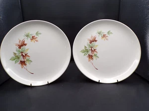 Zwei Vintage USA Salem Ohio Ahornblatt Muster Essteller 10" ofenfest F25 - Bild 1 von 8