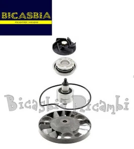 3721 - KIT REVISIONE POMPA ACQUA APRILIA 125 200 ATLANTIC SCARABEO SPORT CITY - Picture 1 of 1