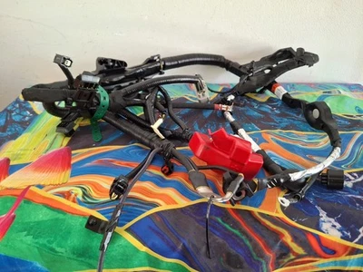 Ford F150 2015-2020 OEM cables de conexión de batería OEM # - HL3T 14B060 S081H nuevos Foto 1 de 4