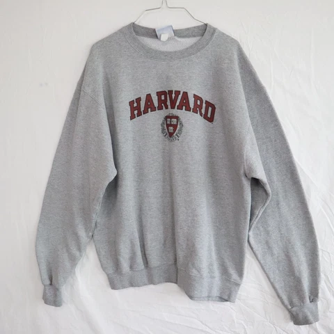 Harvard Sweatshirt Mens Large Champion Eco Gray Long Sleeve Cover
