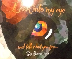 Look Into My Eye, And Tell Me What You See, Suerae Stein(autographed) - Bild 1 von 6