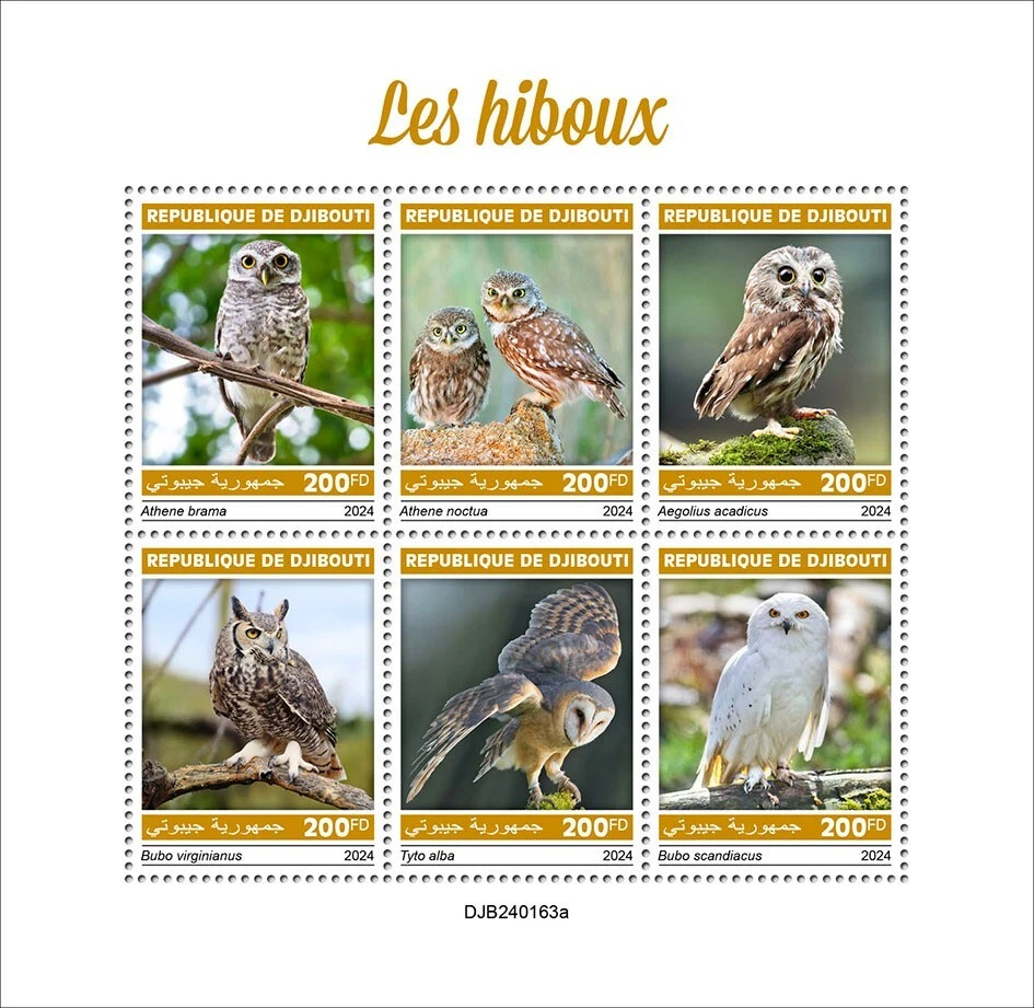 Estampillas de búhos MNH 2024 Djibouti M/S Foto 1 de 1