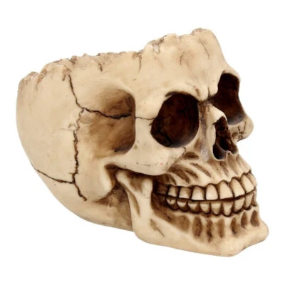 Cráneo Gótico Adorno Lobo Sonriendo Sonriente Cuenco Cenicero Resina Némesis Ahora