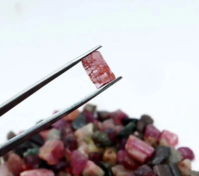 Natural Multicolor Tourmaline small crystal rough 700 Ct Lot Certified Gemstone - Image 1 of 4