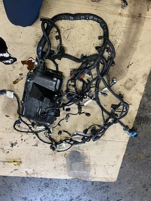 2018 Ford Escape 1.5 Engine Wiring Harness ML4E28 - Image 1 of 4