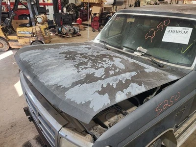 Hood From 8501 GVW Fits 92-97 FORD F250 PICKUP 648847 Foto 1 de 4