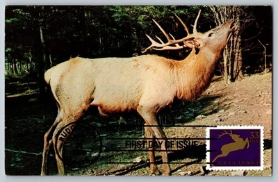 #3357-60 Reindeer Set of Four FDC Maxi Card - Image 1 of 4