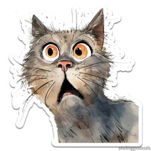 Shocked Grey Cat, Vinyl Decal Sticker, Indoor Outdoor, 3 Sizes, #12375 - Picture 1 of 1