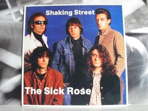 SICK ROSE - SHAKING STREET LP CERCANO A MINT GARAGE DE ITALIA - Imagen 1 de 1