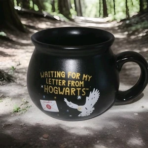 NEW Harry Potter Waiting For My Letter From Hogwarts Cauldron Mug Cup Hedwig Owl - Picture 1 of 8