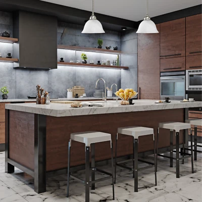 Lámpara colgante iluminación progresiva P5068-09 campana de techo nueva en caja cocina Foto 1 de 4