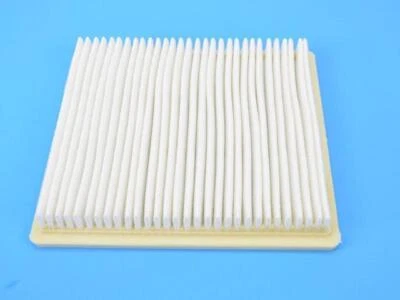 Filtro de aire motor delantero genuino Mopar 2007-2014 Chrysler Sebring 4891926AB Foto 1 de 2