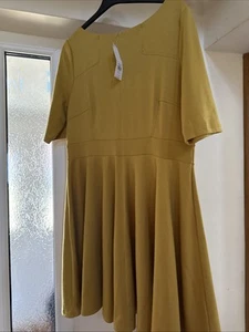 Dorothy Perkins Mustard Ladies Skater  Dress Size 20 BNWT - Picture 1 of 3