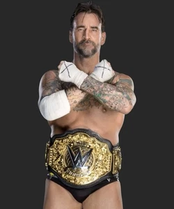 Cm Punk WWE Foto Photo 8x10 Print NEW CHAMP CM PUNK RAW NXT NEU - Bild 1 von 1