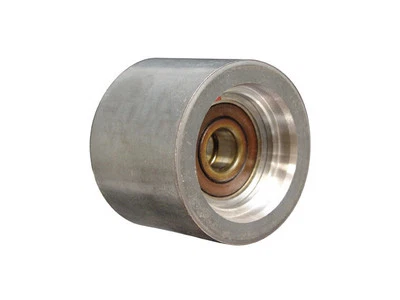 Polea de rueda loca accesorio para Mack RB 1998 Dayco 69852BVTD Foto 1 de 2