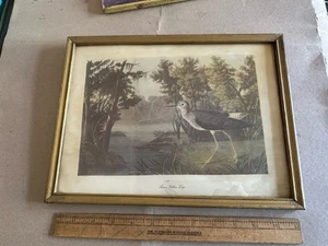 Vintage Gold Wood Frame Fits 9” x 12” with Audubon Print Liggett’s Drug Store - Picture 1 of 8