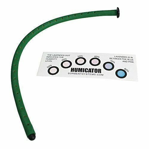 小提琴或中提琴蛇奖杯加湿器 — 第 1/1 张图片