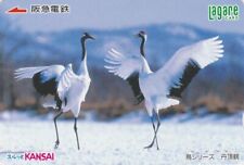 Carte JAPON - ANIMAL OISEAU GRUE Couple en parade - CRANE BIRD JAPAN Kansai card