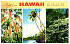 Kona District Black Sands Beach and Tree Fern Forest Hawaii Postcard Posted 1971