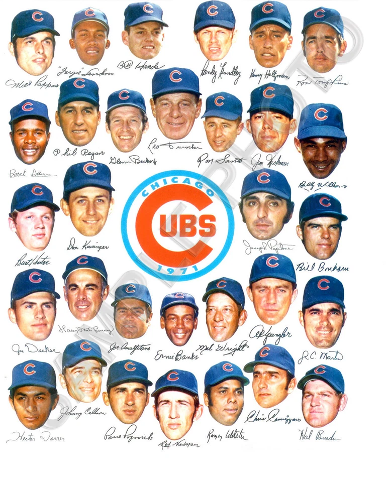 1971 CHICAGO CUBS BASEBALL TEAM 8X10 PHOTO - Image 1 of 1