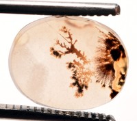 14.10*8.90 mm Top Quality Dendrite Agate or Indian Shazar Unique Piece Oval Cut for Jewelry and Ring Making Certified Gemstone