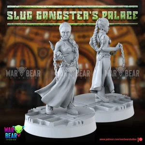 Princesse Leia Organa, Jeu Star Wars Legion & Shatterpoint, Impression 3d - Picture 1 of 1