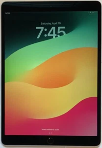 GSM UNLOCKED Wi-Fi + 4G APPLE iPad PRO 1st GEN 10.5" 256GB A1709 MPHG2LL/A - Picture 1 of 6
