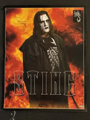 Póster de colección 1997 WCW Sting Crow 15,5x19,5 WWE AEW Fire Background lucha libre Foto 1 de 4
