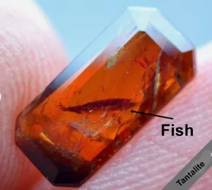 Natural Picture of Fish on 1.10 ct top Red Color Tantalite Gemstone unheated - Picture 1 of 17