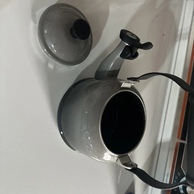 Tetera LE CREUSET Demi Whistling Marsella gris esmalte sobre acero 1,25 cuartos Foto 1 de 4