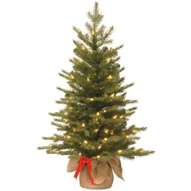 National Tree Company 3 ft Pre-Lit Nordic Spruce Mini Artificial Christmas Tree - Image 1 of 4