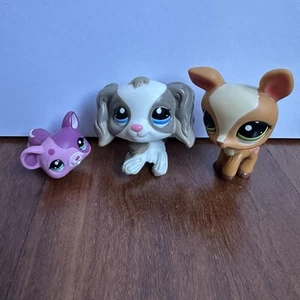 Littlest Pet Shop LPS #2252 #2253 #2254 Blythe Sleep Suite Collie Deer Mouse - Picture 1 of 21