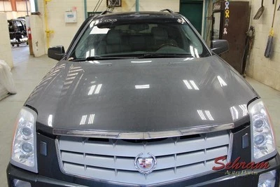 Capó 89023030 para 04-09 Cadillac SRX 2053574 Foto 1 de 4