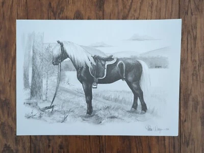 DIBUJO ORIGINAL A LÁPIZ GRAFITO: CABALLO EQUINO ISLANDIA FIRMADO THERESE NORGREN Foto 1 de 3