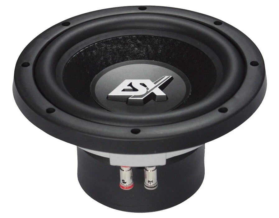 ESX SX-840 - 20cm Subwoofer - Bild 1 von 1