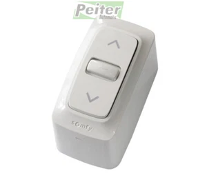 Somfy INIS WT (Inis Mounted Box) Single Surface Mount Control Switch - 1800511 - Bild 1 von 2