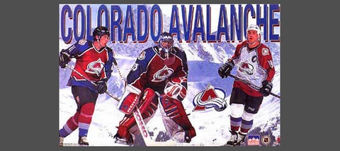 Patrick Roy, Peter Forsberg, Joe Sakic COLORADO AVALANCHE 1996 22x34 POSTER Cover